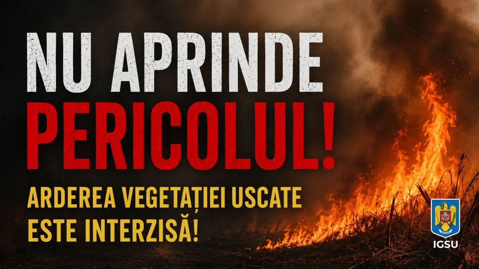Măsuri speciale la Mănăstirea Văratec, de hram și canonizare locală
